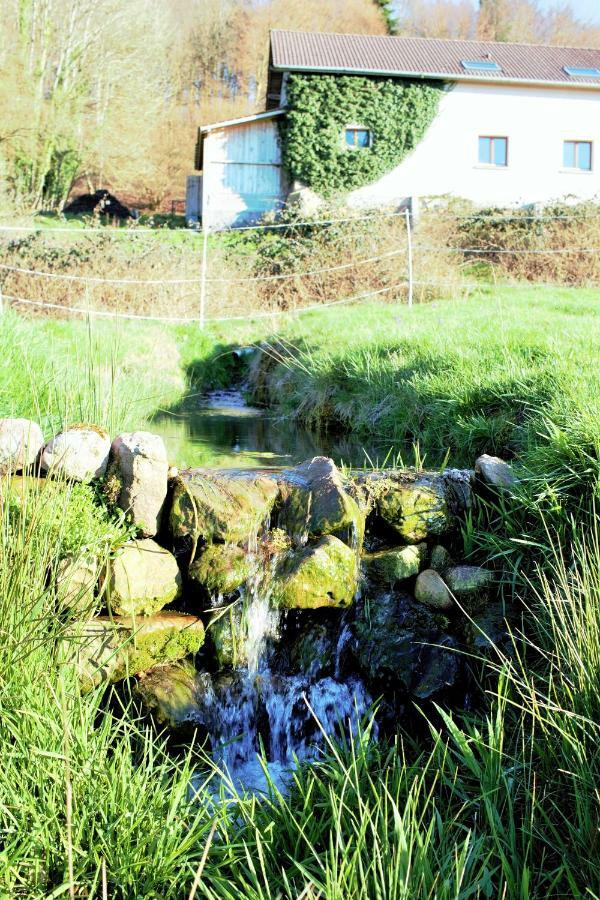 Au Temps De La Source Villa Raon-aux-Bois Buitenkant foto