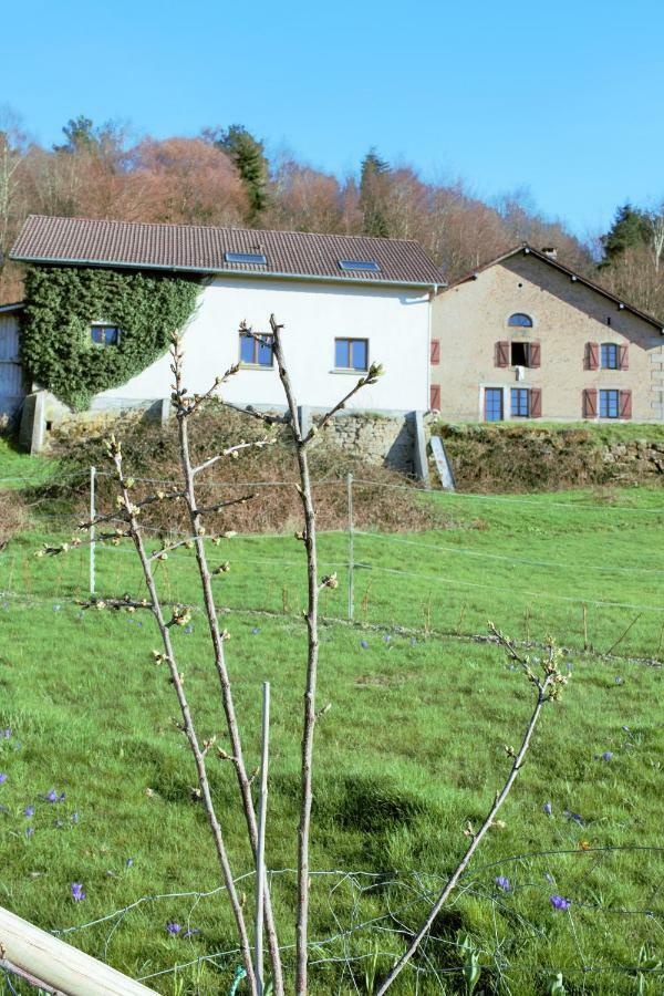 Au Temps De La Source Villa Raon-aux-Bois Buitenkant foto
